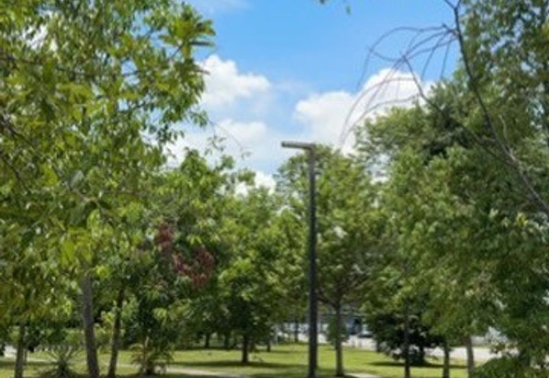 Penduline @ Bandar Rimbayu