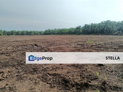 5 acre farming land for rent, Selangor, Kuala Selangor