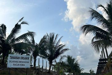 Outpost Camping Mawai, Johor for sale