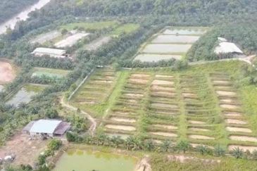 Outpost Camping Mawai, Johor for sale