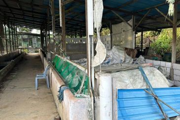 Outpost Camping Mawai, Johor for sale