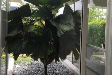 Inspiration Park @ East Ledang