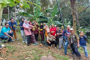 KEBUN DURIAN UNTUK DIJUAL DI BUKIT KEMUNING, KIJAL (SEBELAH MENARA CELCOM), KEMAMAN, TERENGGANU