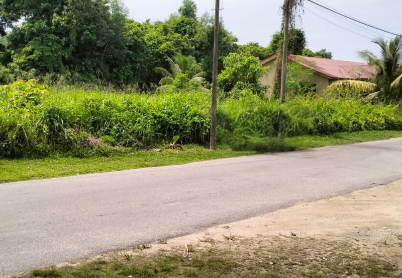 2 LOT TANAH PERUMAHAN UNTUK DIJUAL DI GONG PAUH, KAMPUNG PENGKALAN PANDAN, KEMAMAN, TERENGGANU