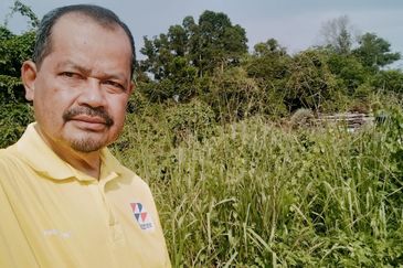 TANAH LOT PERUMAHAN UNTUK DIJUAL DI PENGKALAN PANDAN, CHUKAI, KEMAMAN, TERENGGANU