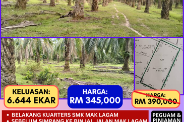 TANAH LOT PERTANIAN DI MAK LAGAM, KEMAMAN, TERENGGANU UNTUK DIJUAL