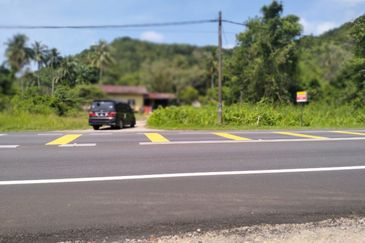 TANAH UNTUK DIJUAL DI KAMPUNG CHENDOR, KUANTAN, PAHANG