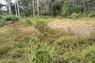 4 LOT TANAH PERUMAHAN UNTUK DIJUAL DI KAMPUNG PAYOH, KIJAL, KEMAMAN, TERENGGANU