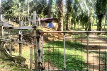 TANAH LOT PERTANIAN UNTUK DIJUAL DI KAMPUNG CHABANG, KERTEH, KEMAMAN, TERENGGANU