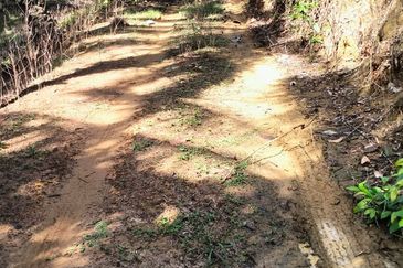 TANAH LOT PERTANIAN UNTUK DIJUAL DI KAMPUNG CHABANG, KERTEH, KEMAMAN, TERENGGANU