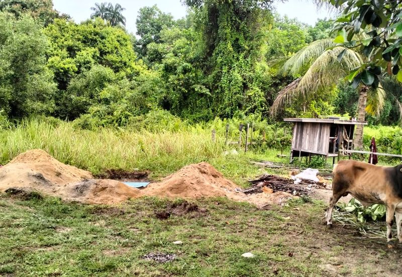 5 LOT TANAH PERUMAHAN UNTUK DIJUAL DI KAWASAN CHENDOR SEMPADAN, CHENDOR, KUANTAN, PAHANG