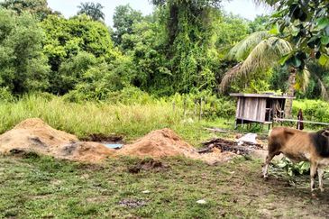 5 LOT TANAH PERUMAHAN UNTUK DIJUAL DI KAWASAN CHENDOR SEMPADAN, CHENDOR, KUANTAN, PAHANG