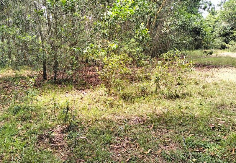 5 LOT TANAH PERUMAHAN UNTUK DIJUAL DI KAWASAN CHENDOR SEMPADAN, CHENDOR, KUANTAN, PAHANG