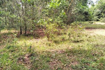 5 LOT TANAH PERUMAHAN UNTUK DIJUAL DI KAWASAN CHENDOR SEMPADAN, CHENDOR, KUANTAN, PAHANG