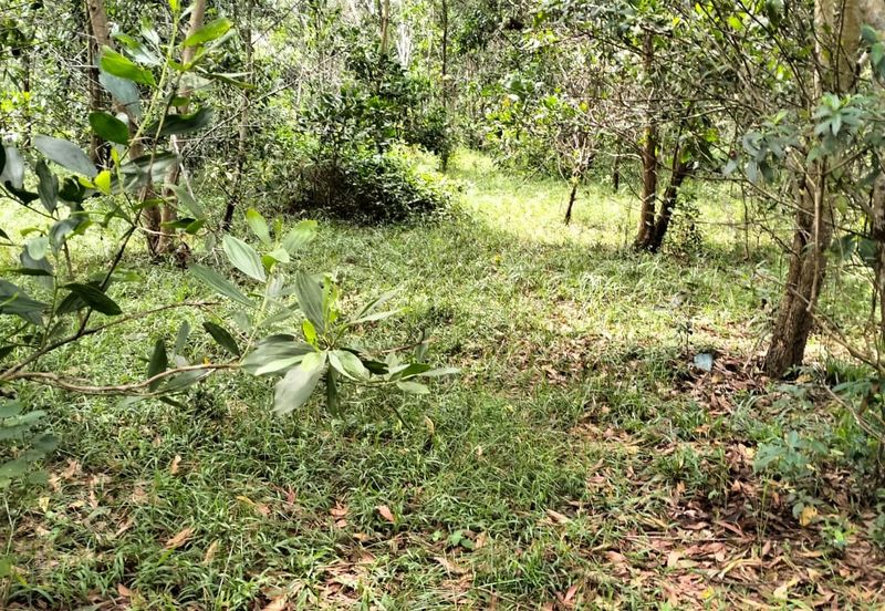 5 LOT TANAH PERUMAHAN UNTUK DIJUAL DI KAWASAN CHENDOR SEMPADAN, CHENDOR, KUANTAN, PAHANG