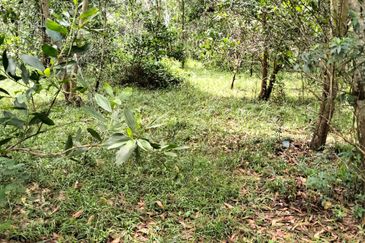 5 LOT TANAH PERUMAHAN UNTUK DIJUAL DI KAWASAN CHENDOR SEMPADAN, CHENDOR, KUANTAN, PAHANG