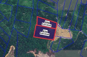 2 LOT TANAH PERTANIAN UNTUK DIJUAL DI SEBERANG PASIR GAJAH, KEMAMAN, TERENGGANU