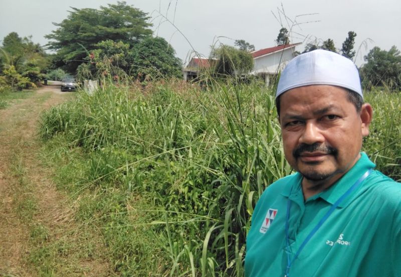 TANAH LOT PERUMAHAN UNTUK DIJUAL DI KAMPUNG PASIR MINAL, BINJAI, KEMAMAN, TERENGGANU
