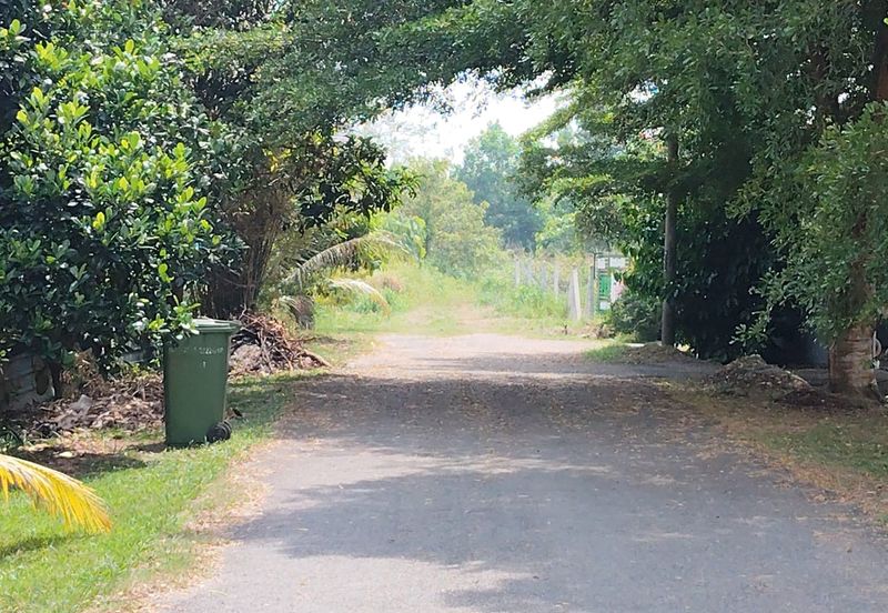 TANAH LOT PERUMAHAN UNTUK DIJUAL DI KAMPUNG PASIR MINAL, BINJAI, KEMAMAN, TERENGGANU
