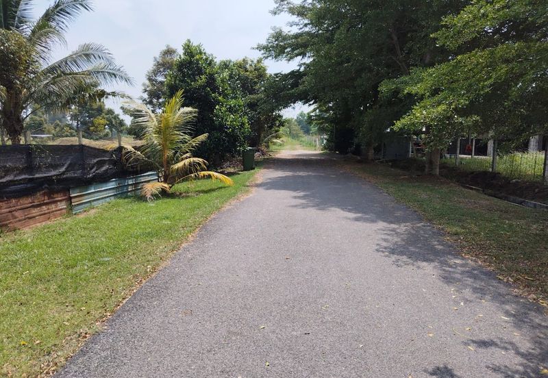 TANAH LOT PERUMAHAN UNTUK DIJUAL DI KAMPUNG PASIR MINAL, BINJAI, KEMAMAN, TERENGGANU