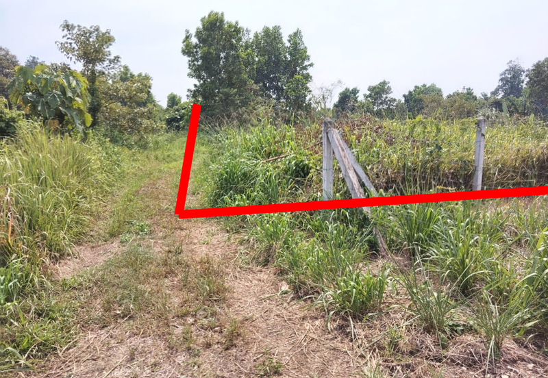 TANAH LOT PERUMAHAN UNTUK DIJUAL DI KAMPUNG PASIR MINAL, BINJAI, KEMAMAN, TERENGGANU