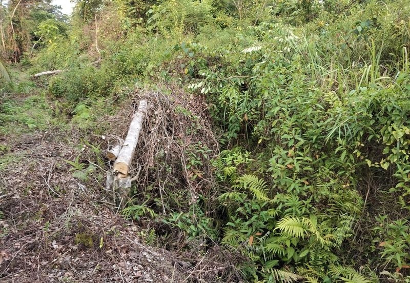 6 LOT TANAH PERUMAHAN UNTUK DIJUAL DI SEBERANG TAYOR, TEBAK, KEMAMAN, TERENGGANU