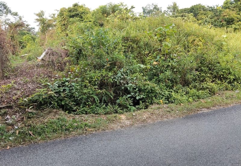 6 LOT TANAH PERUMAHAN UNTUK DIJUAL DI SEBERANG TAYOR, TEBAK, KEMAMAN, TERENGGANU