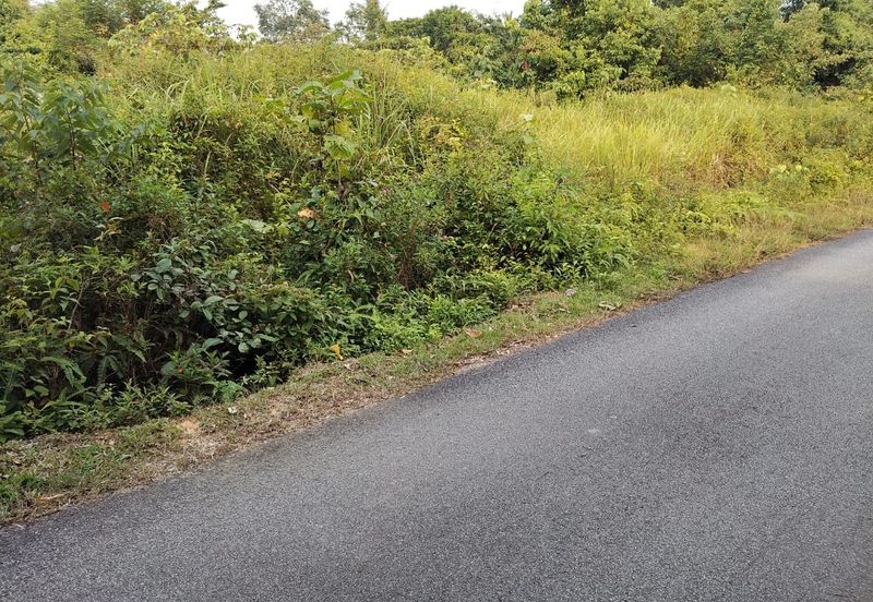 6 LOT TANAH PERUMAHAN UNTUK DIJUAL DI SEBERANG TAYOR, TEBAK, KEMAMAN, TERENGGANU