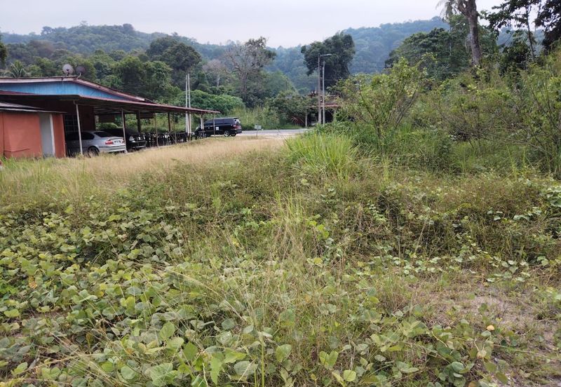 5 LOT TANAH PERUMAHAN UNTUK DIJUAL DI KAMPUNG PENUNJUK, KIJAL, KEMAMAN, TERENGGANU