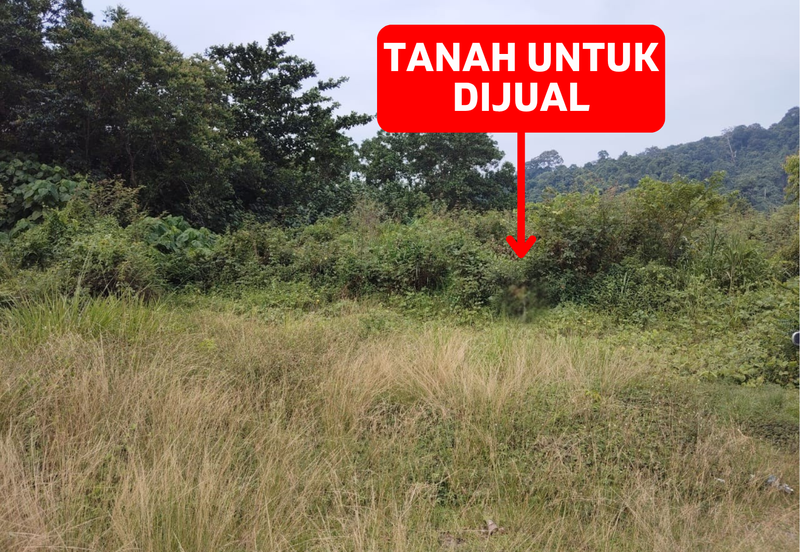 5 LOT TANAH PERUMAHAN UNTUK DIJUAL DI KAMPUNG PENUNJUK, KIJAL, KEMAMAN, TERENGGANU