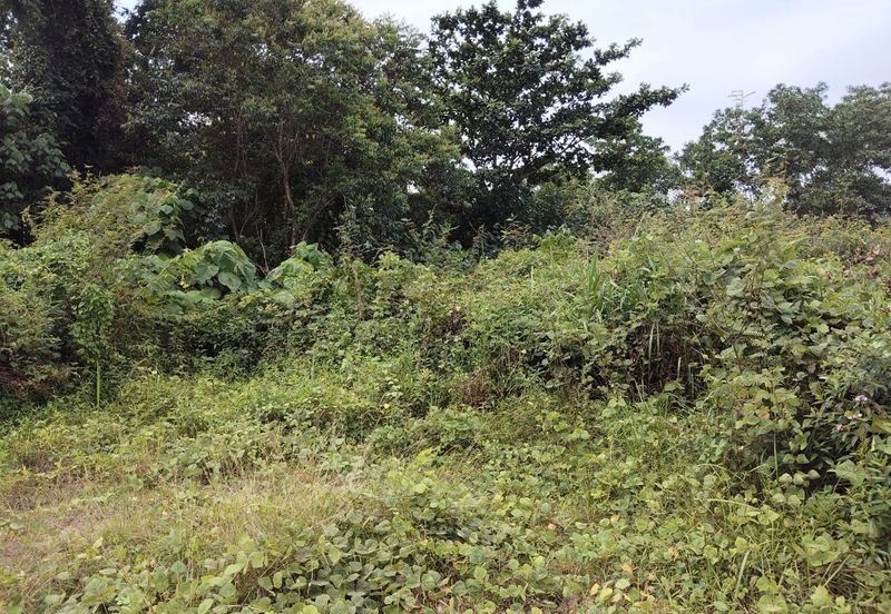 5 LOT TANAH PERUMAHAN UNTUK DIJUAL DI KAMPUNG PENUNJUK, KIJAL, KEMAMAN, TERENGGANU