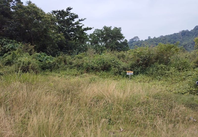 5 LOT TANAH PERUMAHAN UNTUK DIJUAL DI KAMPUNG PENUNJUK, KIJAL, KEMAMAN, TERENGGANU