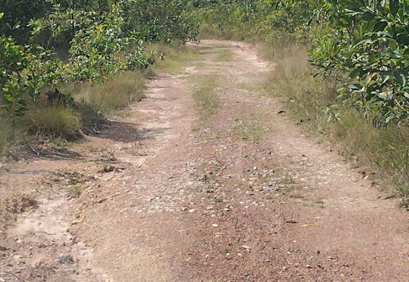 20 LOT TANAH PERUMAHAN UNTUK DIJUAL DI BELAKANG PERUMAHAN DAMANSARA, JALAN LAPANGAN TERBANG KERTEH, KEMAMAN, TERENGGANU