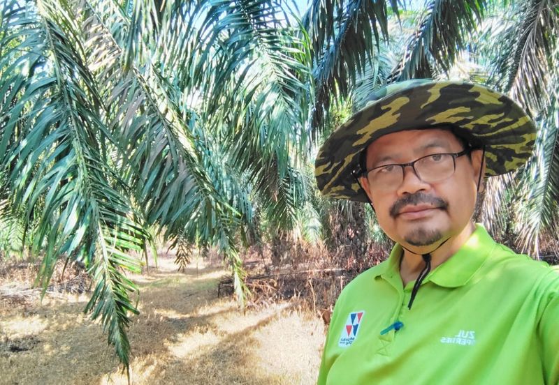 KEBUN SAWIT TEPI JALAN TAR UNTUK DIJUAL DI (DEKAT SEKOLAH SEBERANG TAYOR), KEMAMAN, TERENGGANU