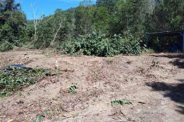 2 LOT TANAH PERUMAHAN UNTUK DIJUAL BERDEKATAN KOMPLEKS PETRONAS KERTEH / PERUMAHAN PETRONAS RANTAU BUKIT, KERTEH, KEMAMAN, TERENGGANU