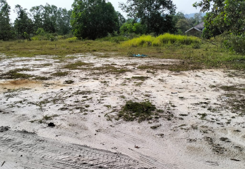 TANAH LOT PERUMAHAN UNTUK DIJUAL DI KAMPUNG PAYOH, BUKIT TERUNA, KIJAL, KEMAMAN, TERENGGANU