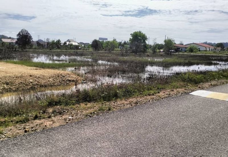TANAH LOT PERUMAHAN UNTUK DIJUAL DI KAMPUNG PAYA BERENJUT, KEMAMAN, TERENGGANU