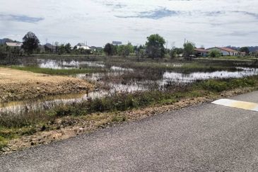 TANAH LOT PERUMAHAN UNTUK DIJUAL DI KAMPUNG PAYA BERENJUT, KEMAMAN, TERENGGANU