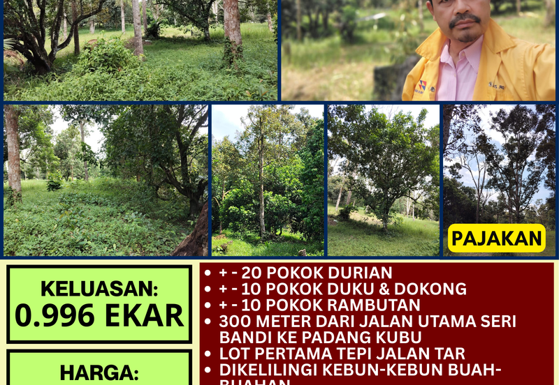 TANAH KEBUN BUAH-BUAHAN UNTUK DIJUAL DI KAMPUNG SERI BANDI, KEMAMAN, TERENGGANU
