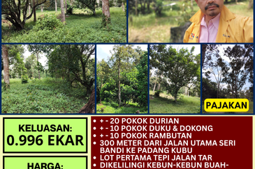TANAH KEBUN BUAH-BUAHAN UNTUK DIJUAL DI KAMPUNG SERI BANDI, KEMAMAN, TERENGGANU