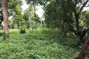 TANAH KEBUN BUAH-BUAHAN UNTUK DIJUAL DI KAMPUNG SERI BANDI, KEMAMAN, TERENGGANU