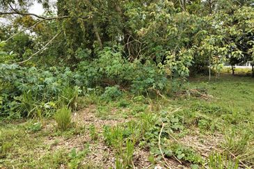 TANAH LOT PERUMAHAN UNTUK DIJUAL DI JALAN OLONG 1, BINJAI, KEMAMAN, TERENGGANU