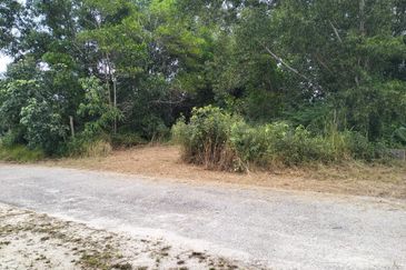 TANAH LOT PERUMAHAN UNTUK DIJUAL DI KAMPUNG BUKIT ALI, JALAN SRI NILAM 2/3B, CHUKAI, KEMAMAN, TERENGGANU