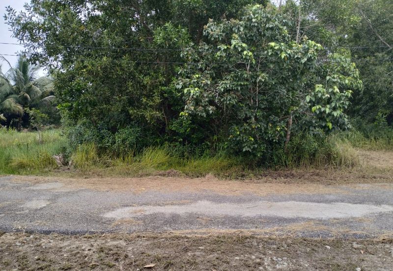 TANAH LOT PERUMAHAN UNTUK DIJUAL DI KAMPUNG BUKIT ALI, JALAN SRI NILAM 2/3B, CHUKAI, KEMAMAN, TERENGGANU
