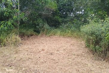 TANAH LOT PERUMAHAN UNTUK DIJUAL DI KAMPUNG BUKIT ALI, JALAN SRI NILAM 2/3B, CHUKAI, KEMAMAN, TERENGGANU