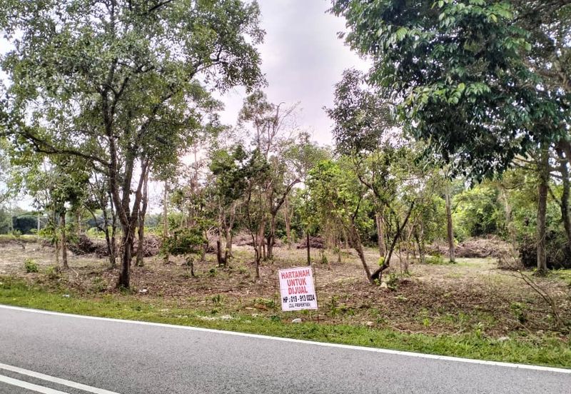 TANAH PERTANIAN UNTUK DIJUAL DI JALAN PAMAN - IBOK, CHUKAI, KEMAMAN, TERENGGANU