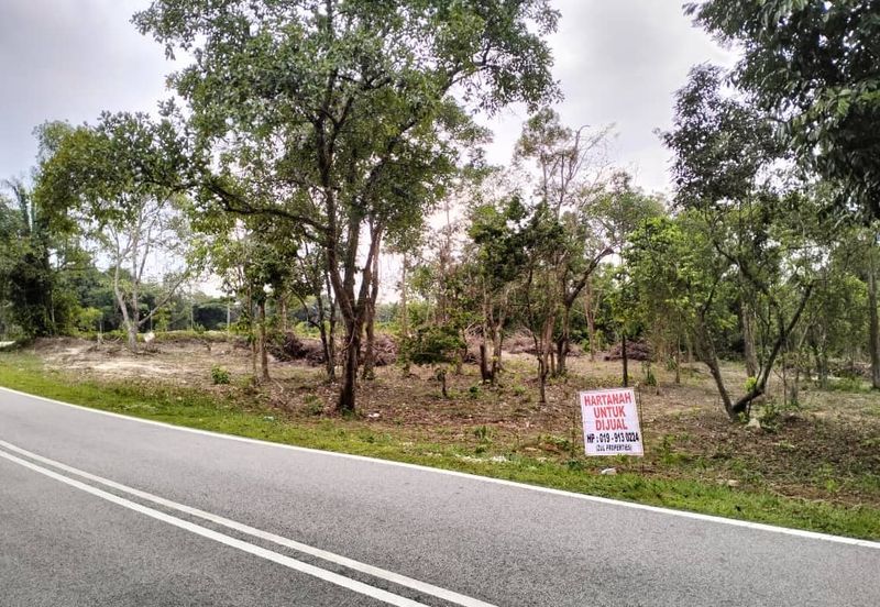 TANAH PERTANIAN UNTUK DIJUAL DI JALAN PAMAN - IBOK, CHUKAI, KEMAMAN, TERENGGANU