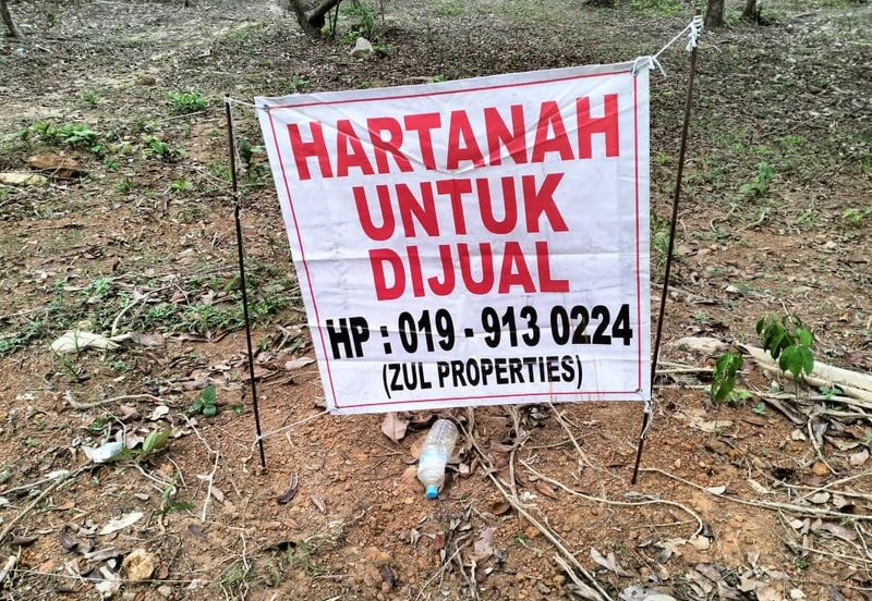 TANAH PERTANIAN UNTUK DIJUAL DI JALAN PAMAN - IBOK, CHUKAI, KEMAMAN, TERENGGANU