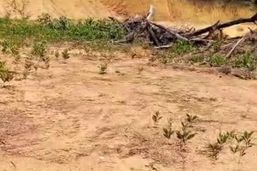 11 LOT TANAH PERUMAHAN UNTUK DIJUAL DI JALAN UTAMA KUALA BERANG, HULU TERENGGANU, TERENGGANU