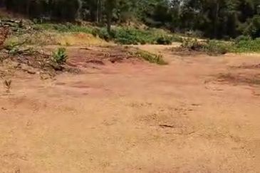 11 LOT TANAH PERUMAHAN UNTUK DIJUAL DI JALAN UTAMA KUALA BERANG, HULU TERENGGANU, TERENGGANU